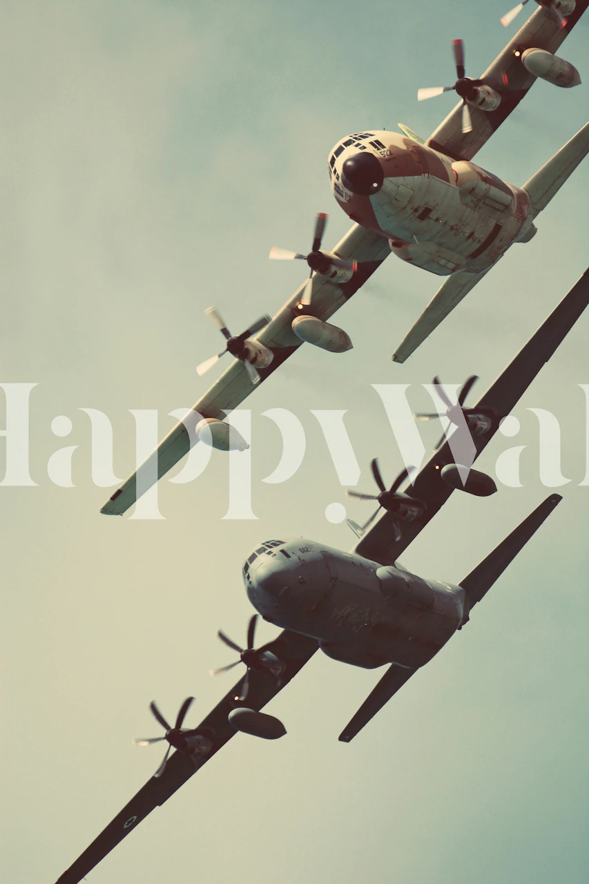 Two vintage aircraft flying against a cloudy backdrop wallpaper
