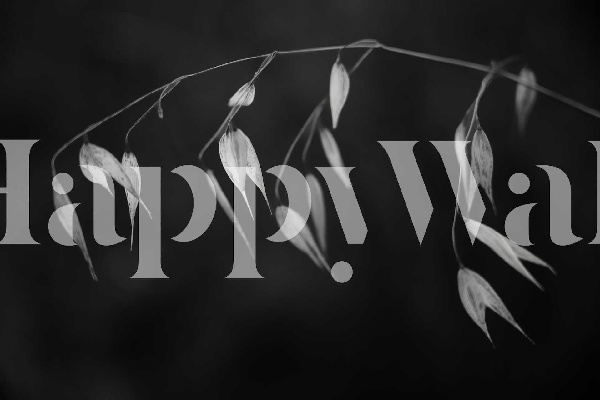 Black and white botanical leaves wallpaper