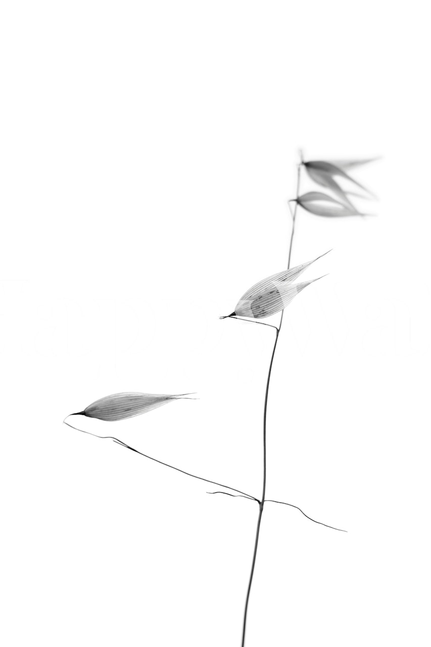 In light of current events IV wallpaper in room