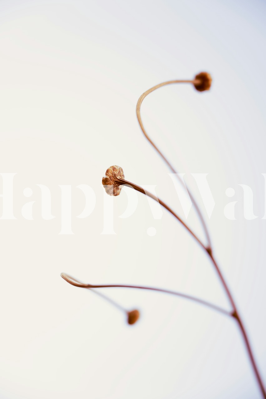 Stylish wallpaper design in a room setting