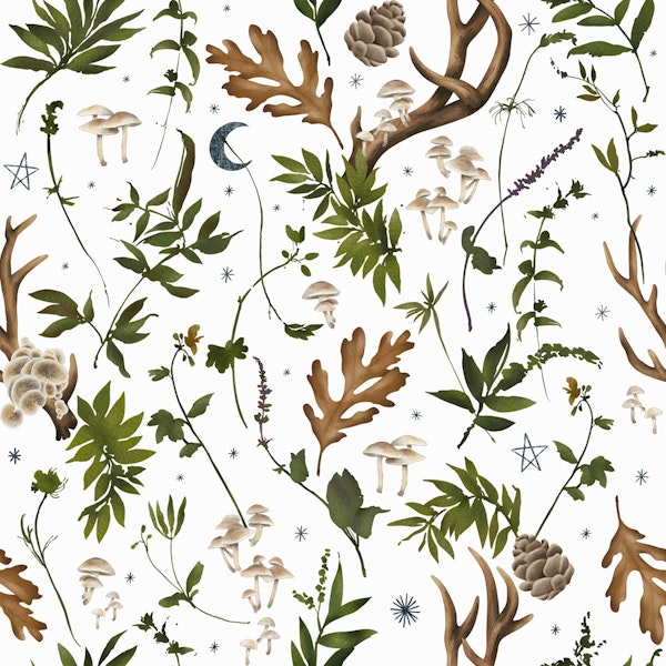 Bohemian autumn forest W