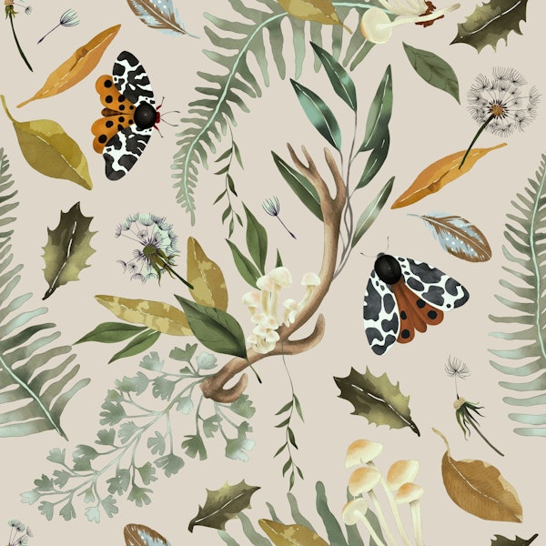 Moths in the forest nature C