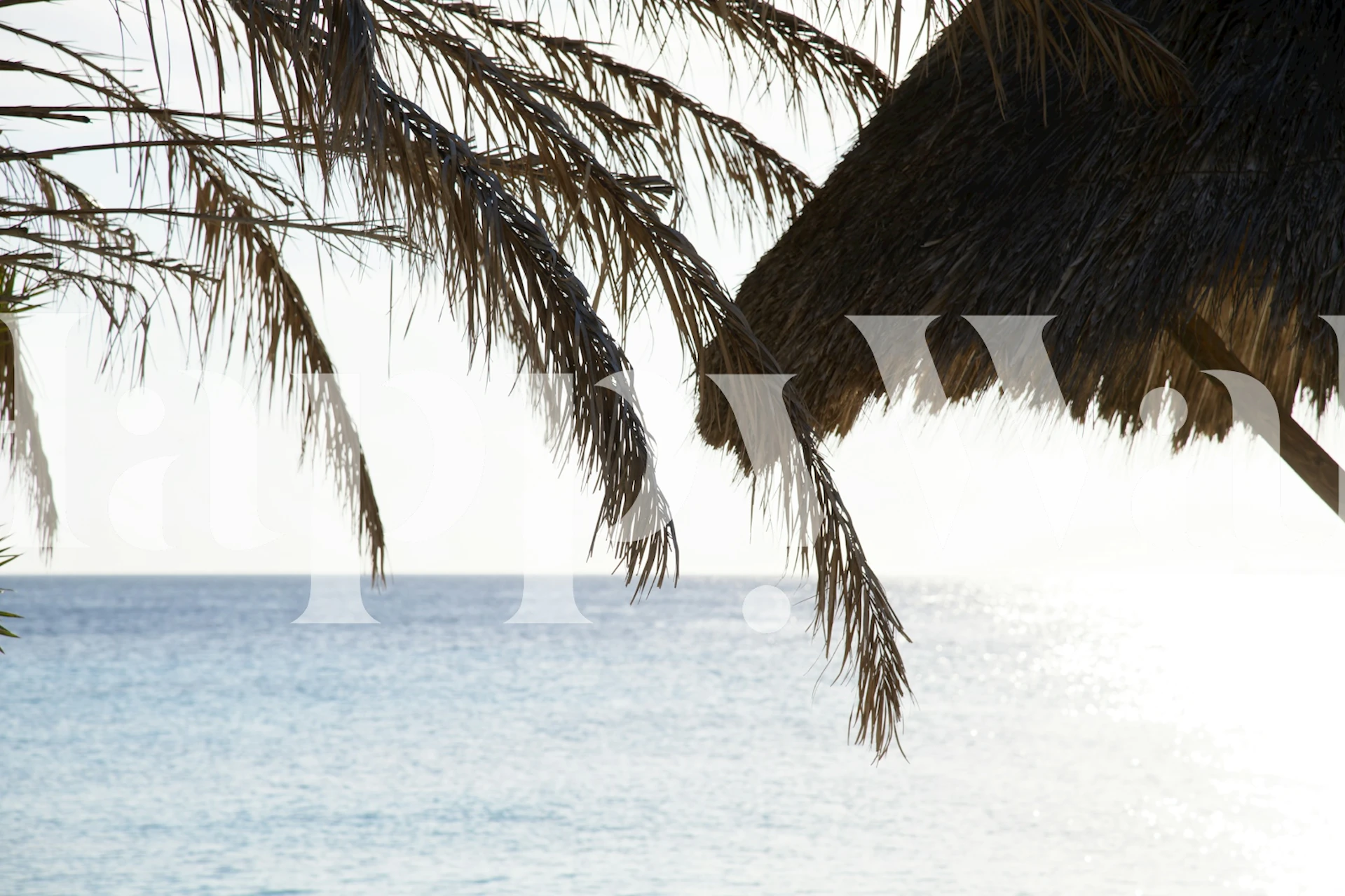 Cas Abao - Tropical Beach Escape 2 tapetti huoneessa