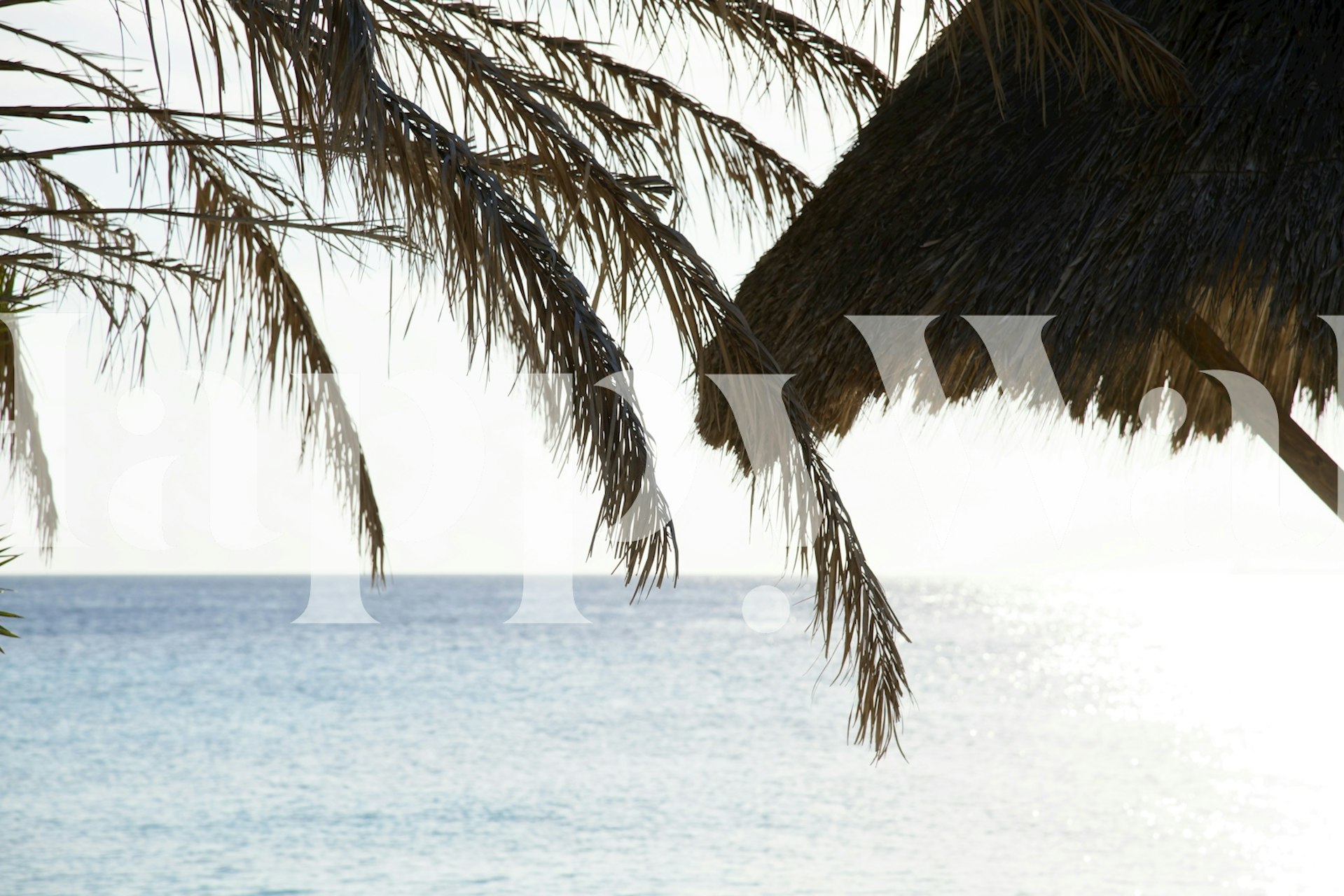 Cas Abao - Tropical Beach Escape 2 tapeta v místnosti