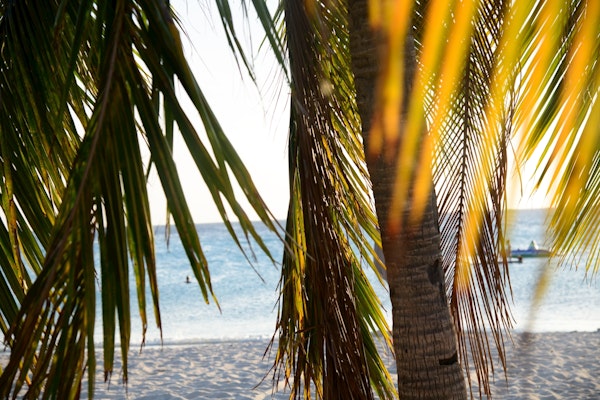 Caribbean Beach Bliss 2