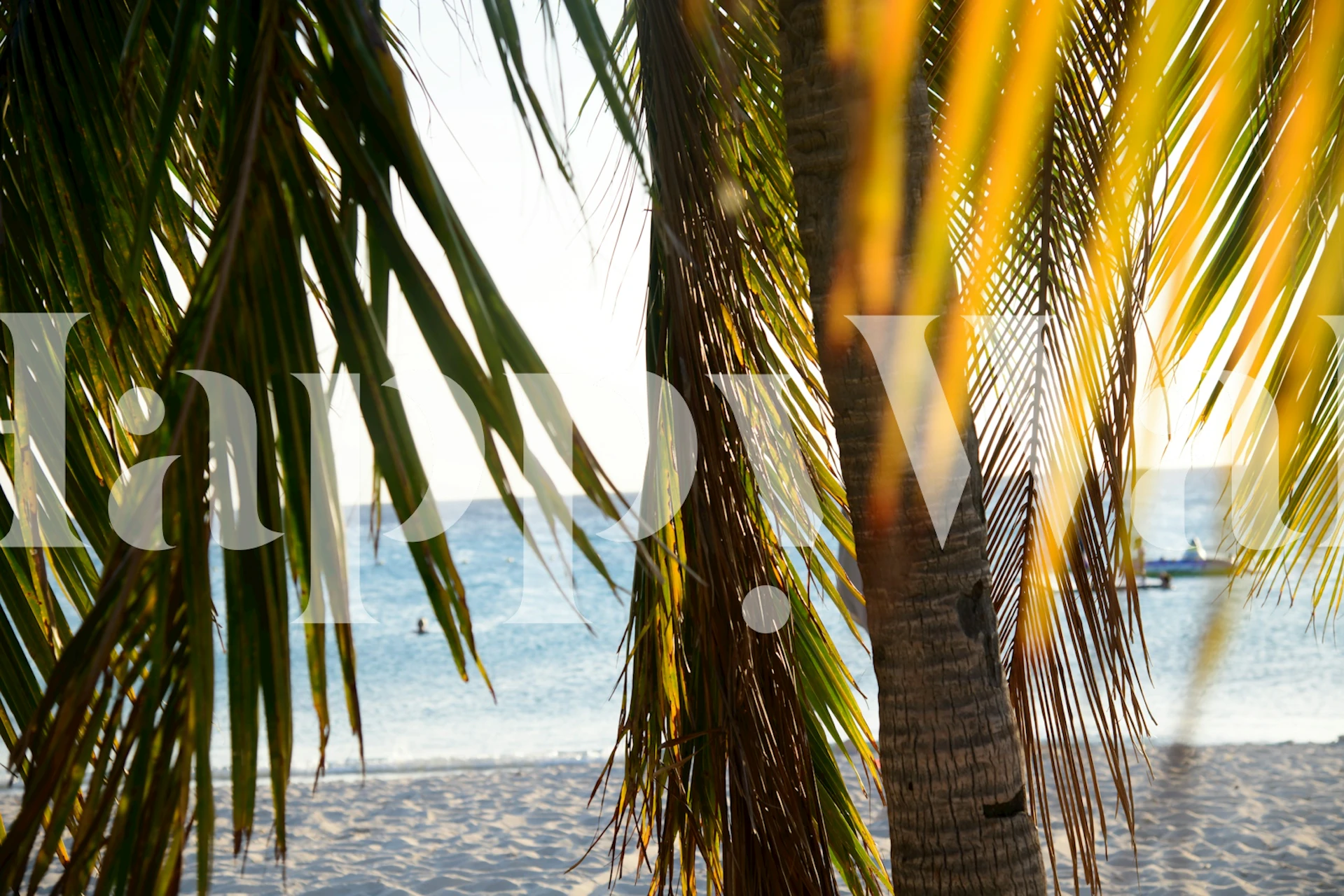 Tropical palm leaves against a beach background wallpaper
