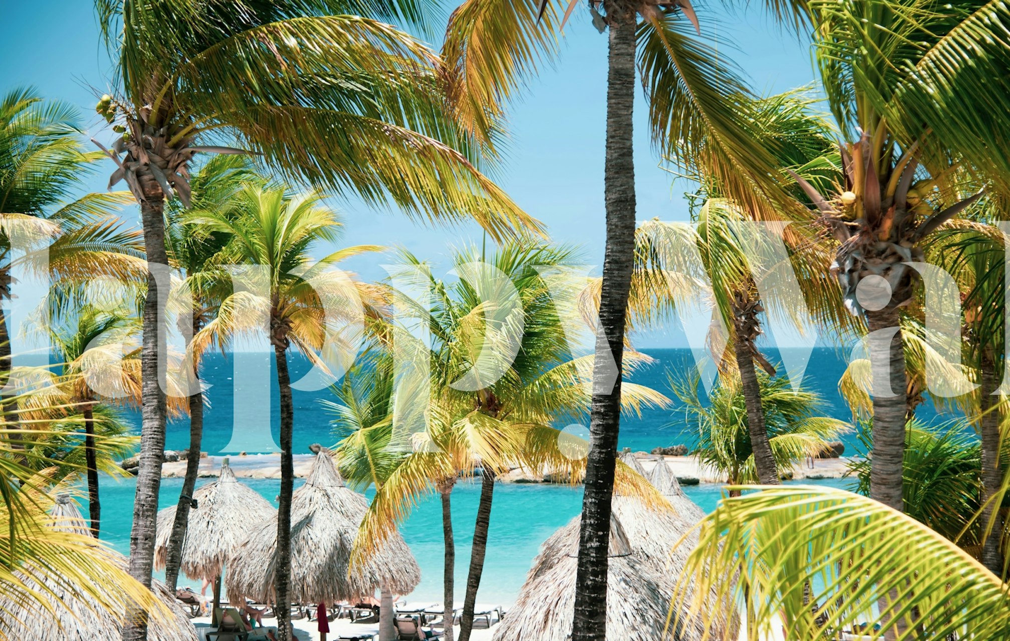 Tropical palm leaves with green hues and blue ocean wallpaper