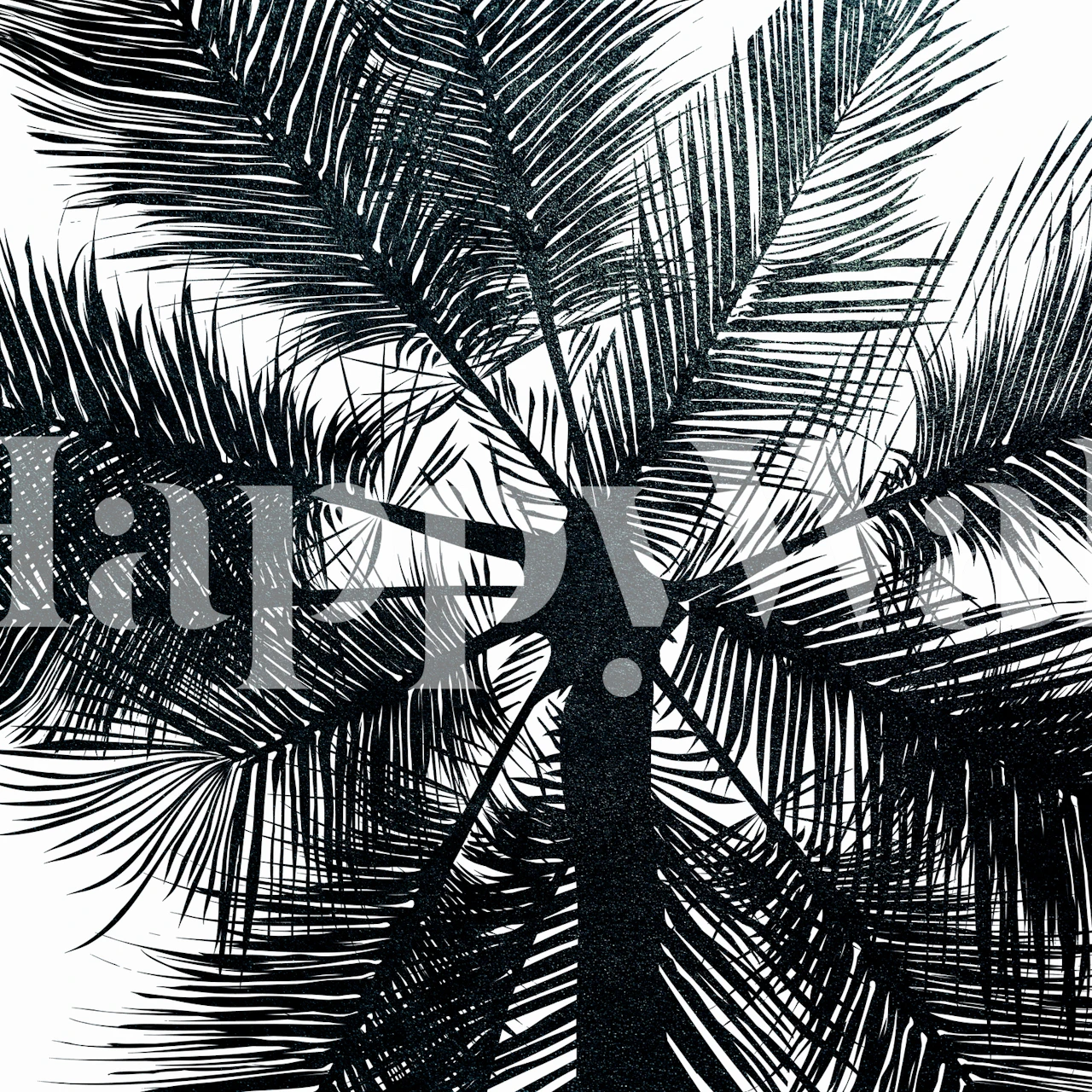 Black and white palm leaf silhouette wallpaper