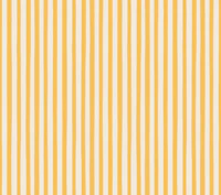 Golden Stripes Elegance carta da parati