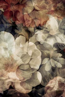 Vintage Blossom Symphony tapete
