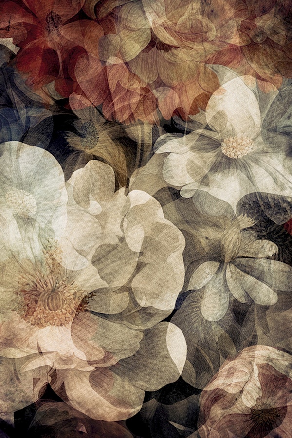 Vintage Blossom Symphony