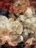 Vintage Blossom Symphony behang