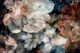 Blooming Shadowplay