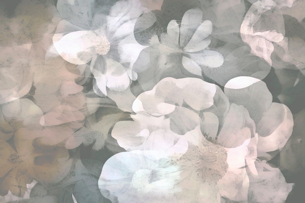 Misty Blossom Escape