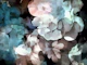 Flower Dreamscape