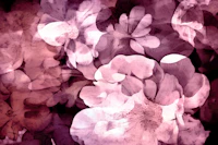 Misty Garden Fantasia wallpaper