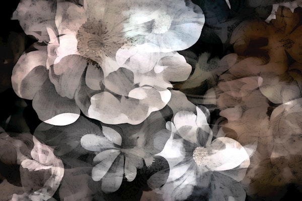 Dreamy Floral Infusion