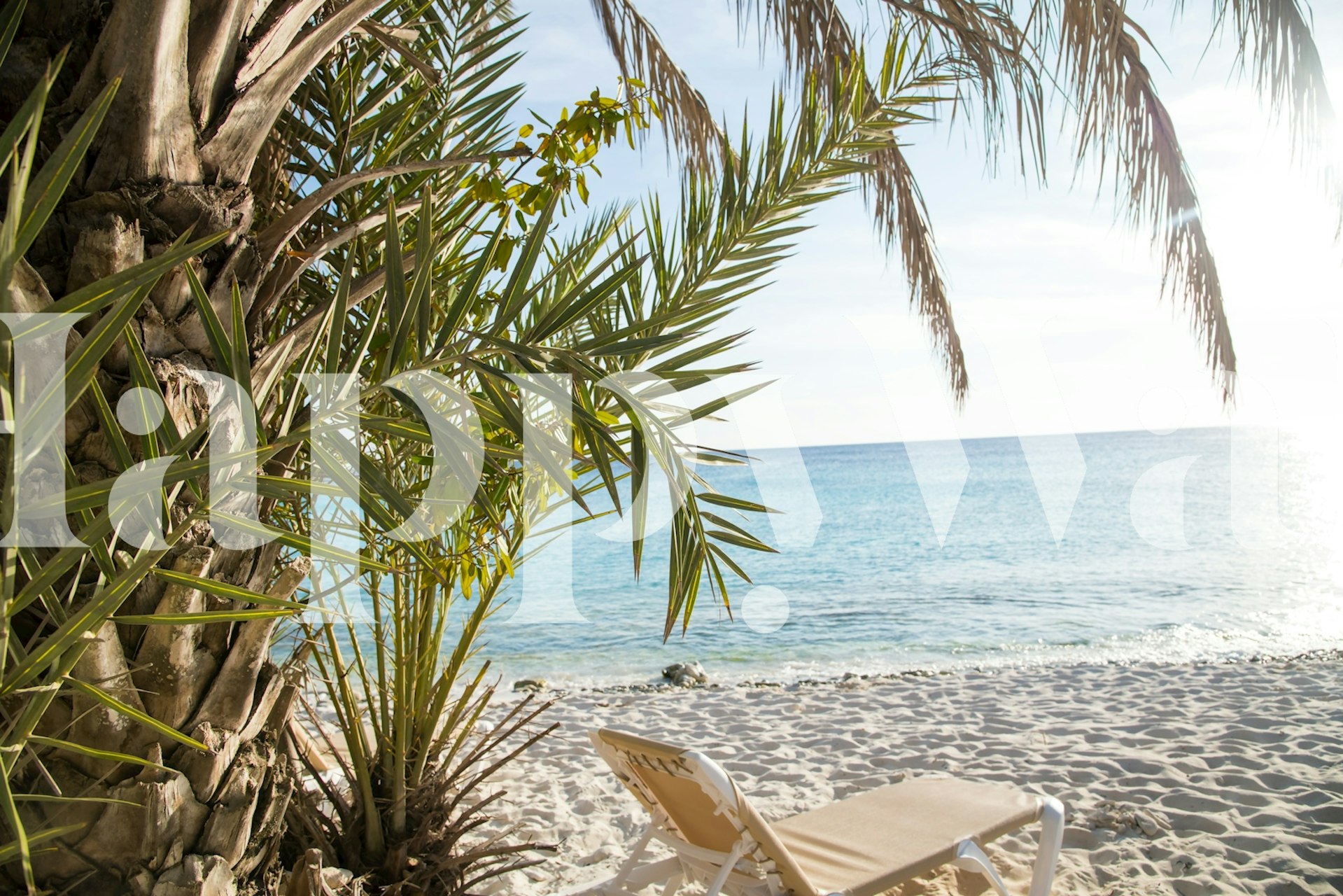 Tropisk strandtapet i et rum