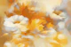 Sunset Floral Elegance