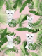 Baby Cat in the Jungle 1