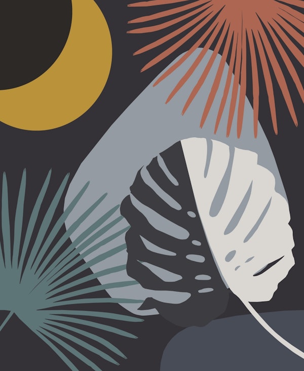 Minimal Yin Yang Monstera 1a