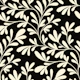 Trailing Cream Branches on Black