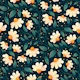 Midnight Daisy Garden