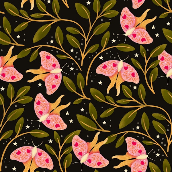 Midnight Butterfly Dream