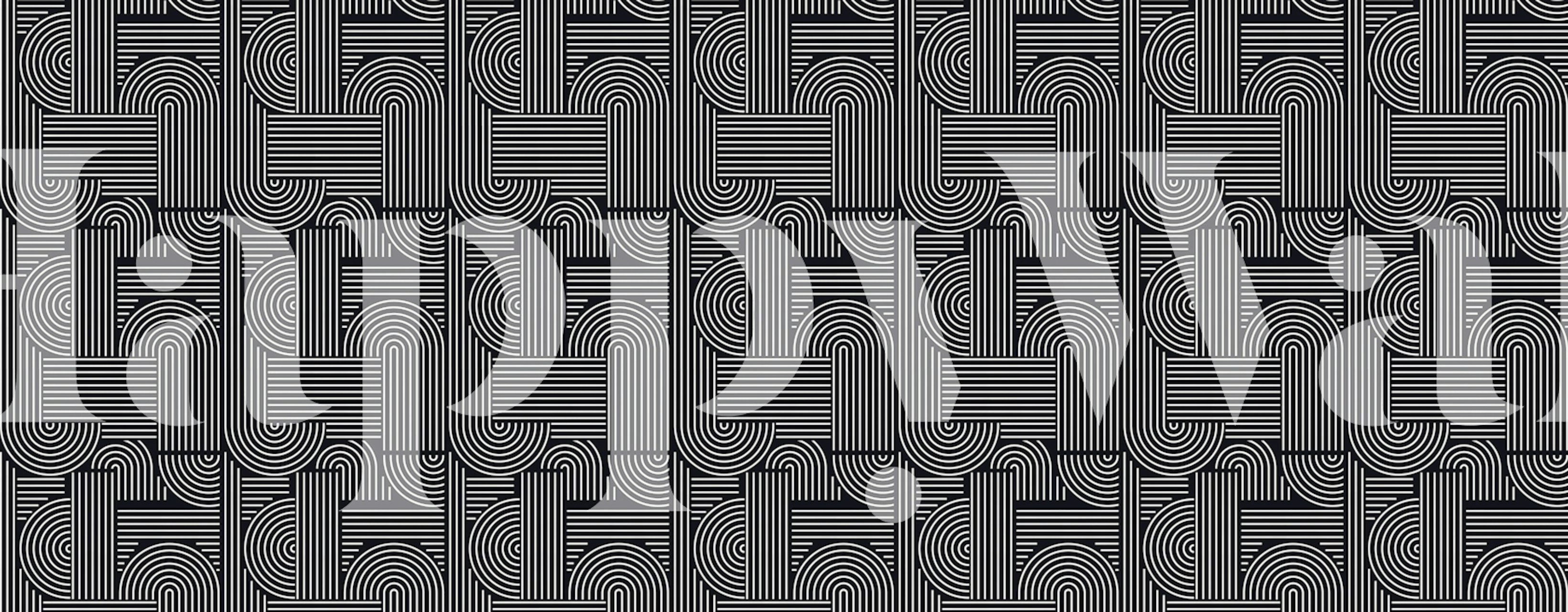 Black and white geometric pattern wallpaper with curved lines and rectangles