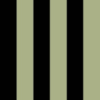 Green And Black Boho Stripes wallpaper