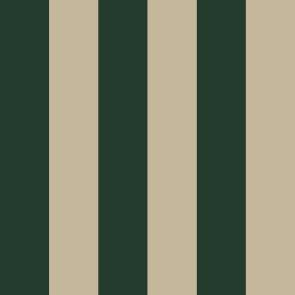 Dark Green And Beige Boho Stripes