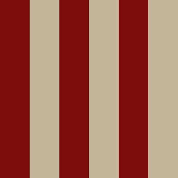 Dark Red And Beige Boho Stripes