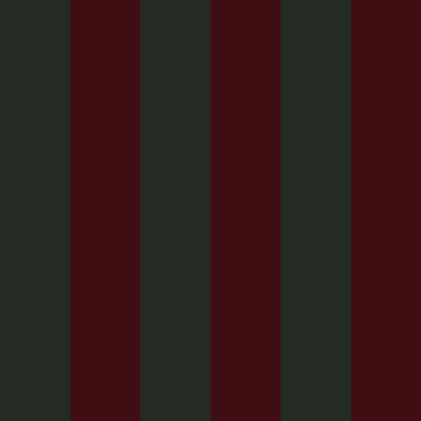 Dark Green Burgundy Boho Stripes