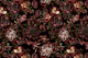 Baroque Mystic Night Flower Garden