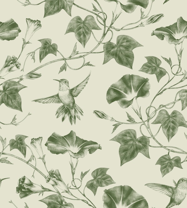 Ipomoea Toile in Olive Green