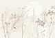 Plant based calming atmosphere earthy tones