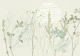 Plant based calming atmosphere natural green
