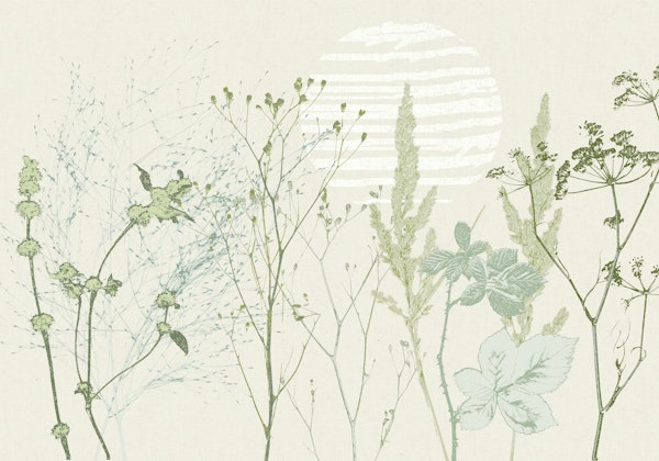 Plant based calming atmosphere natural green