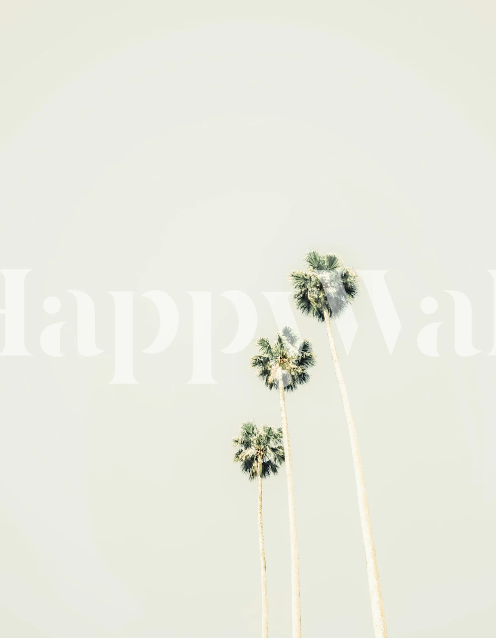 Three tall palm trees against a light background wallpaper