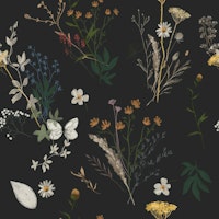 Midnight Wildflowers on Off-Black tapety