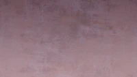 Rustic Blush Textures tapeet