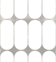 Arctic Capsule Elegance behang