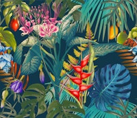 Tropical Botanica (night02) papiers peint