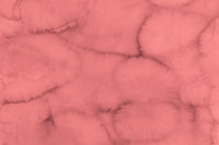 Blushing Coral Hues tapete