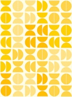 Sunny Semicircles behang