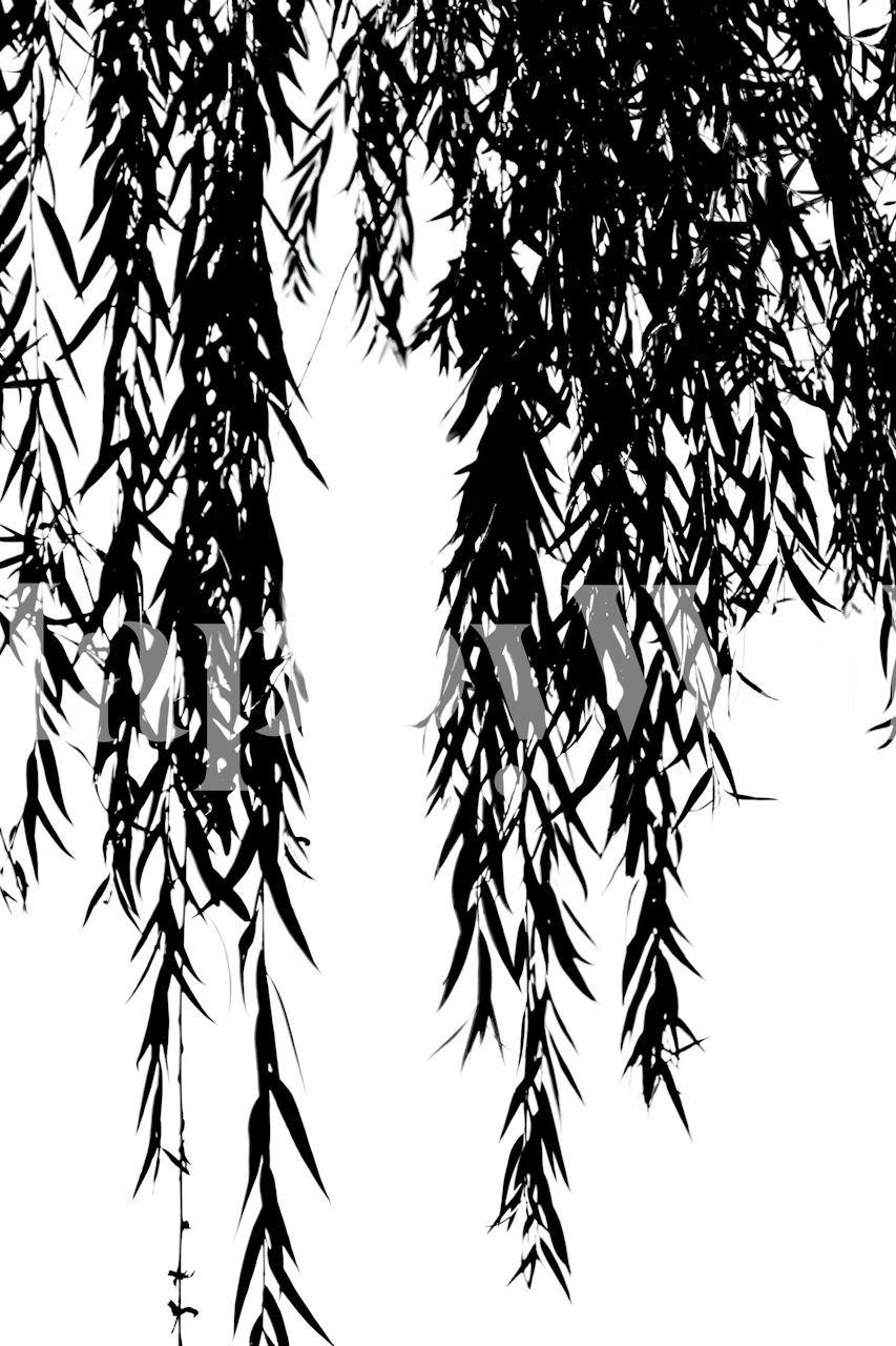 Black and white willow branches silhouettes wallpaper