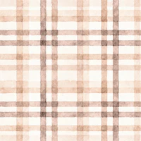 Sundrenched Terra Stripes tapet