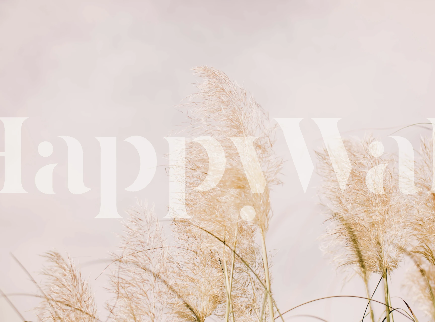 Pampas grass wallpaper in a room