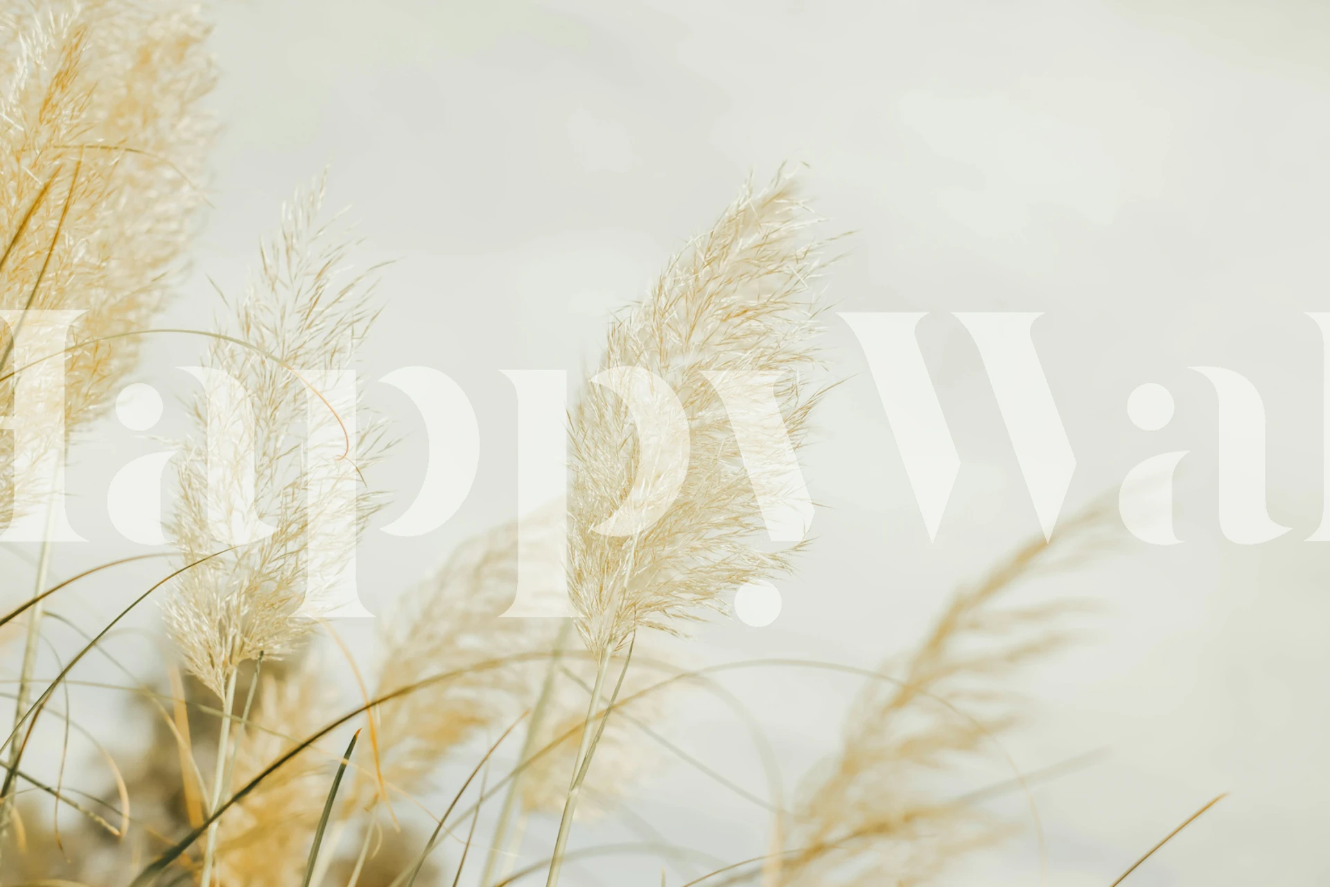 Pampas grass in soft glow wallpaper design with light colors