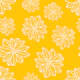 Bloom Big Boho Flowers White Yellow